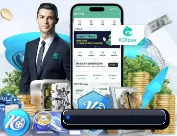 333体育 APP 深度功能