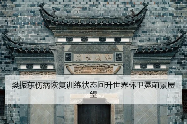 fan-zhen-dong-shang-bing-hui-fu-xun-lian-zhuang-tai-hui-sheng-shi-jie-bei-wei-mian-qian-jing-zhan-wang-2-118.jpg