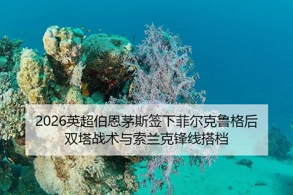 ying-chao-bo-en-mao-si-qian-xia-fei-er-ke-lu-ge-hou-shuang-ta-zhan-shu-yu-suo-lan-ke-feng-xian-da-dang-3-348.jpg
