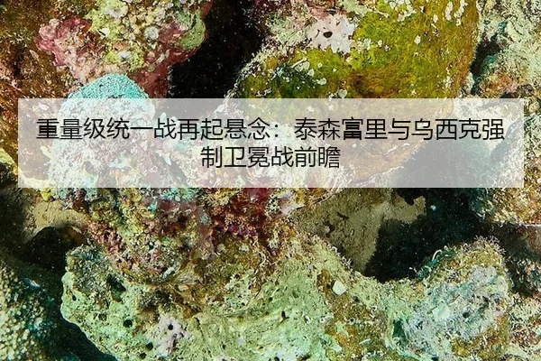 zhong-liang-ji-tong-yi-zhan-zai-qi-xuan-nian-tai-sen-fu-li-yu-wu-xi-ke-qiang-zhi-wei-mian-zhan-qian-zhan-2-876.jpg